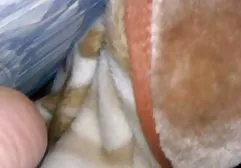 دویچر پورنو 37 سکسخواهر وبرادر